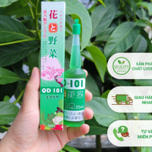 Siêu kích rễ và phục hồi cây suy yếu QD101 Nhật Bản chai 35ml PBT-12