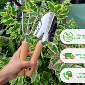 Bộ xẻng và cào mini làm vườn inox