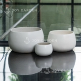 Chậu Hạt Dẻ (D24H22)